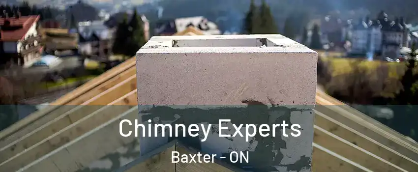 Chimney Experts Baxter - ON