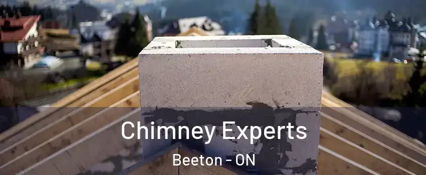 Chimney Experts Beeton - ON