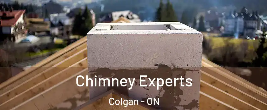 Chimney Experts Colgan - ON