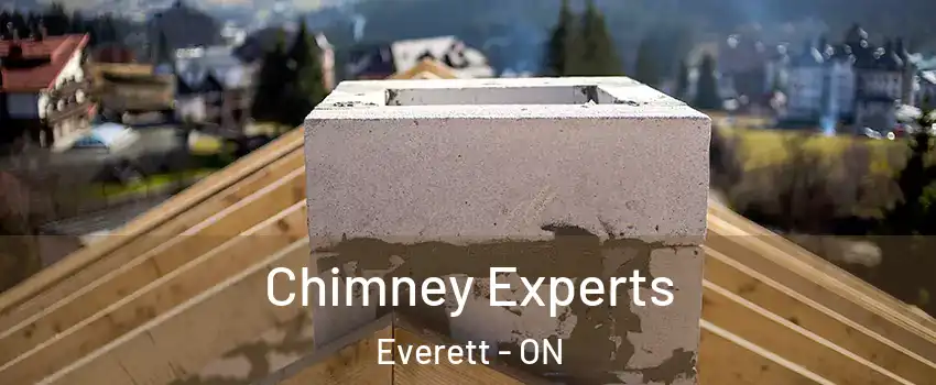 Chimney Experts Everett - ON