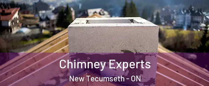 Chimney Experts New Tecumseth - ON