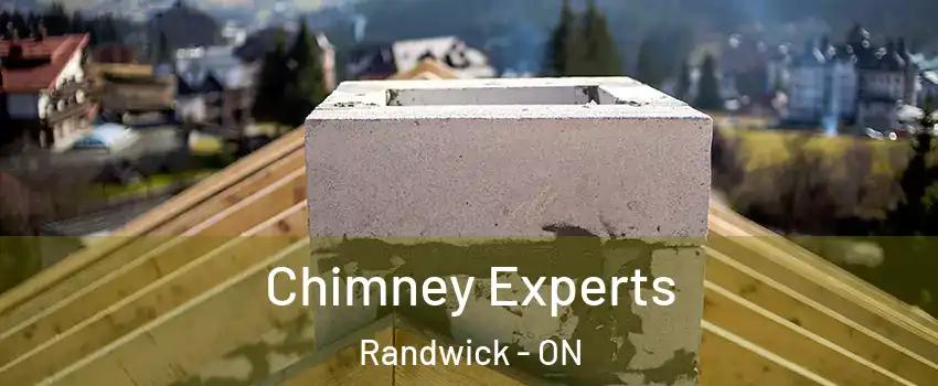 Chimney Experts Randwick - ON