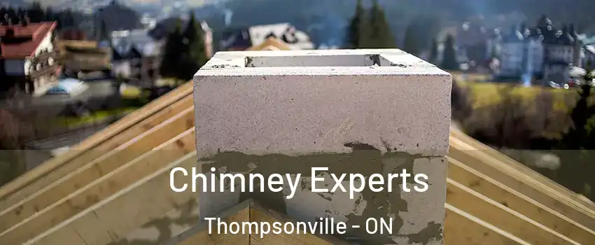 Chimney Experts Thompsonville - ON