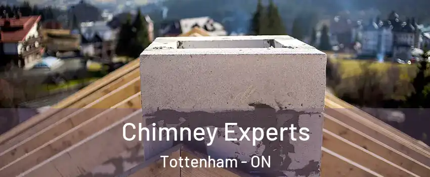 Chimney Experts Tottenham - ON