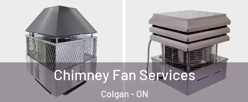  Chimney Fan Services Colgan - ON