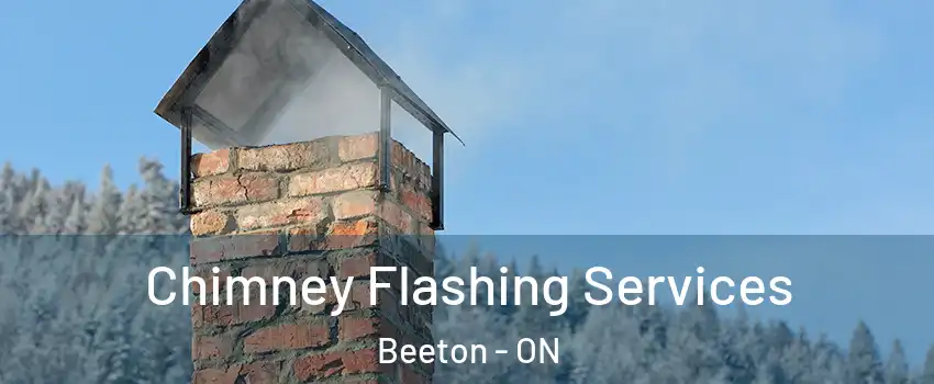 Chimney Flashing Services Beeton - ON