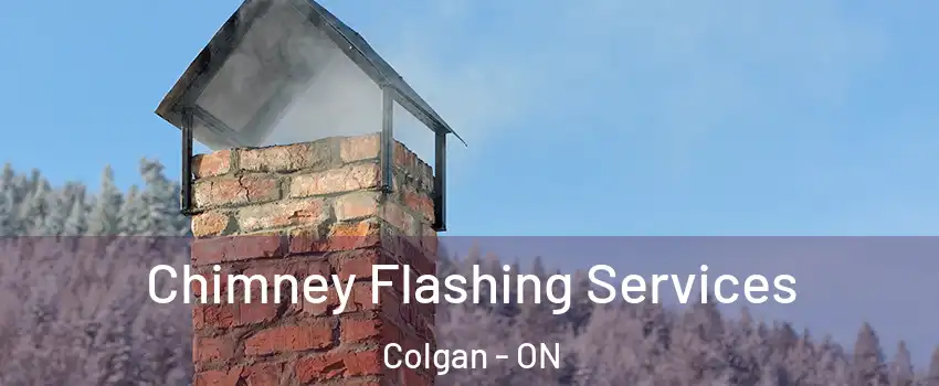 Chimney Flashing Services Colgan - ON
