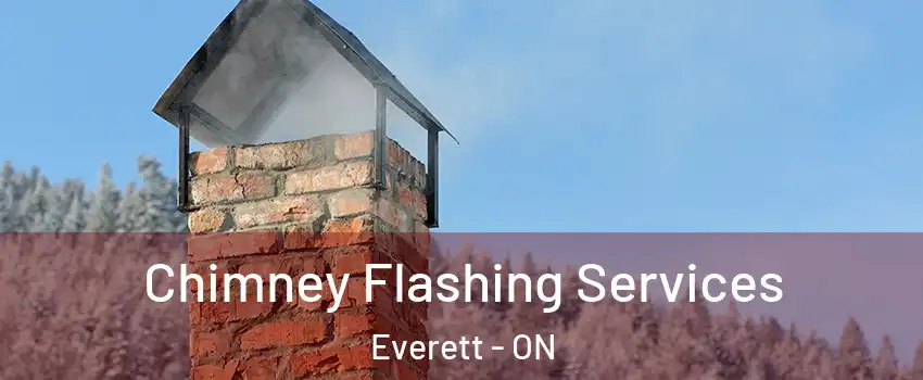 Chimney Flashing Services Everett - ON