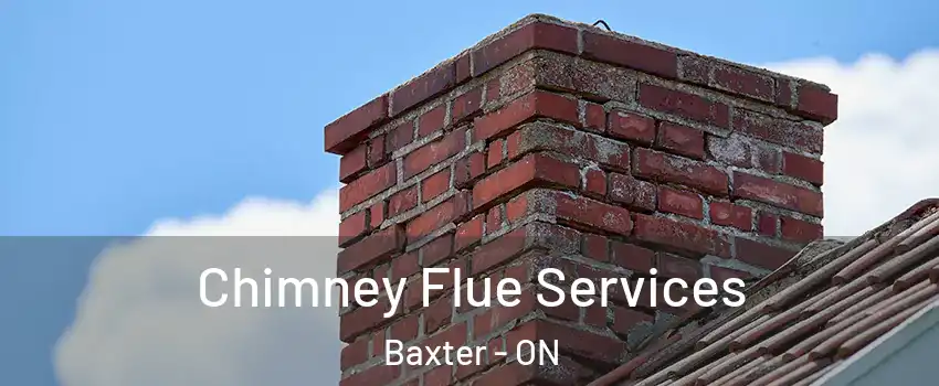  Chimney Flue Services Baxter - ON