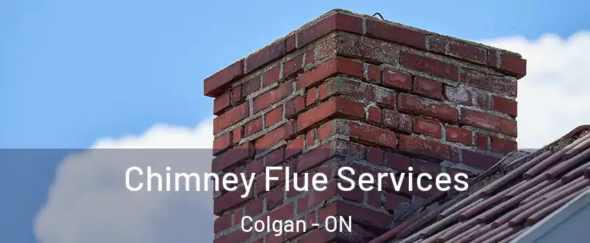  Chimney Flue Services Colgan - ON