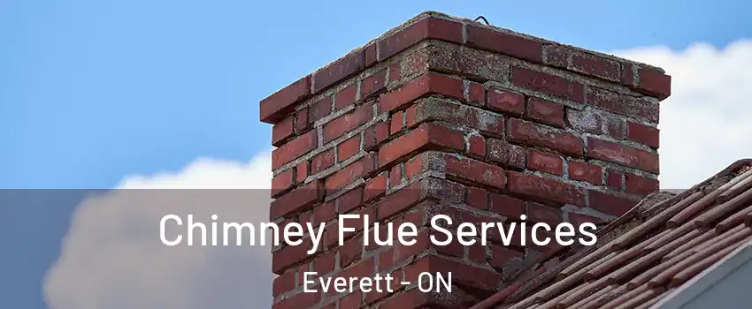  Chimney Flue Services Everett - ON
