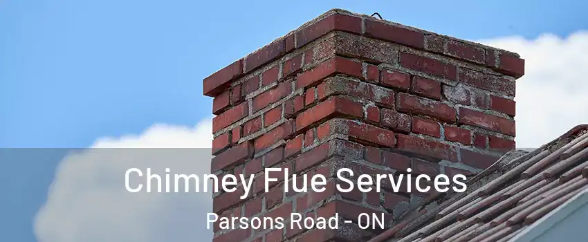  Chimney Flue Services Parsons Road - ON