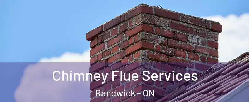  Chimney Flue Services Randwick - ON