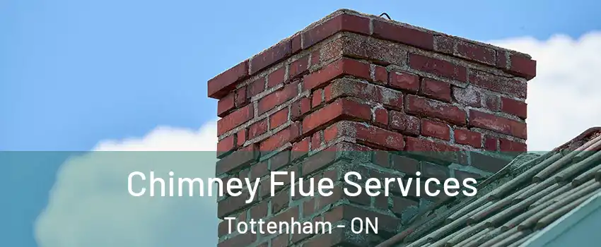  Chimney Flue Services Tottenham - ON