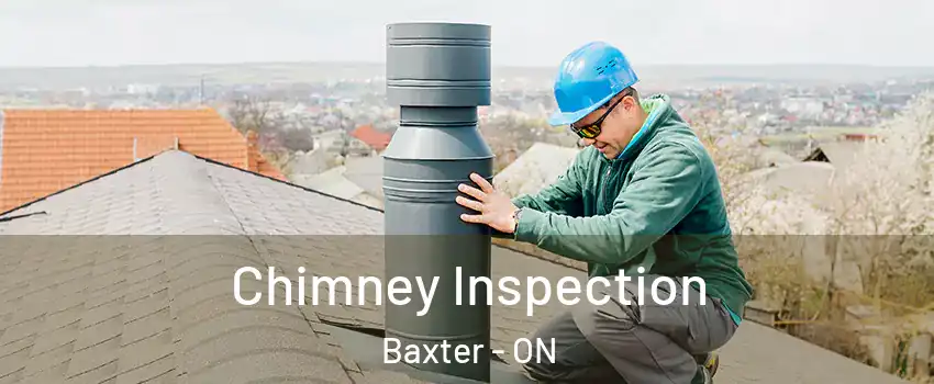  Chimney Inspection Baxter - ON