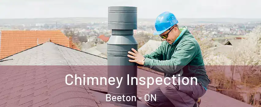  Chimney Inspection Beeton - ON