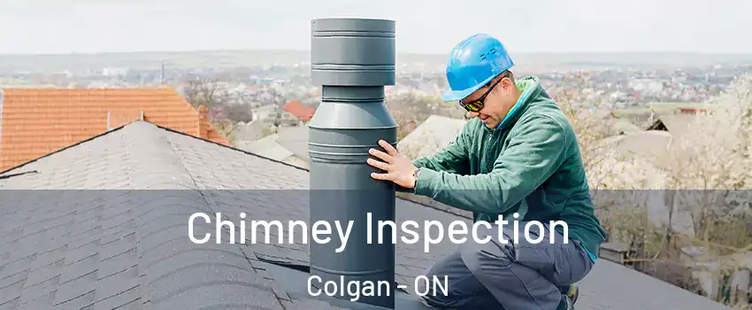  Chimney Inspection Colgan - ON