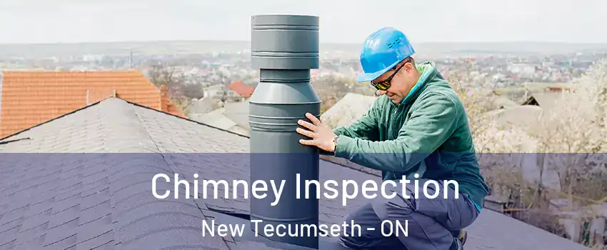  Chimney Inspection New Tecumseth - ON