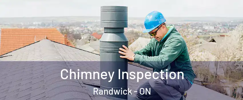  Chimney Inspection Randwick - ON