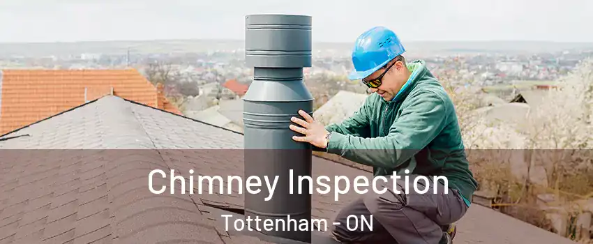  Chimney Inspection Tottenham - ON