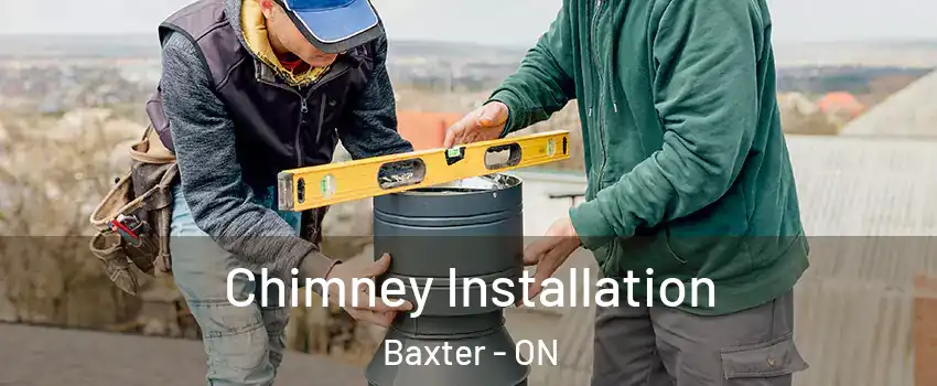  Chimney Installation Baxter - ON
