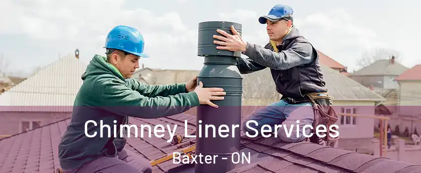  Chimney Liner Services Baxter - ON