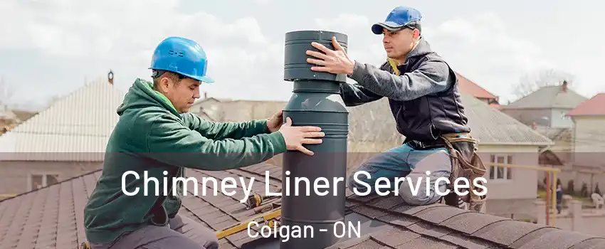  Chimney Liner Services Colgan - ON