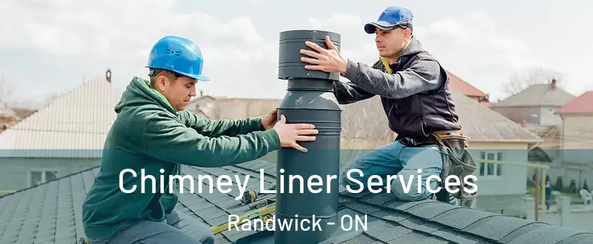  Chimney Liner Services Randwick - ON