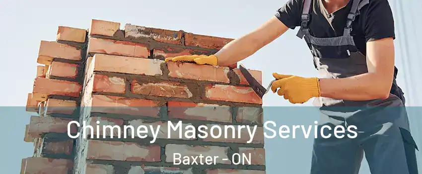  Chimney Masonry Services Baxter - ON
