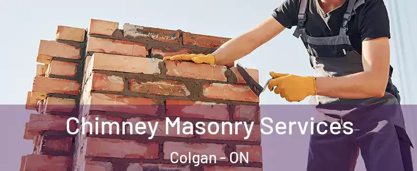 Chimney Masonry Services Colgan - ON