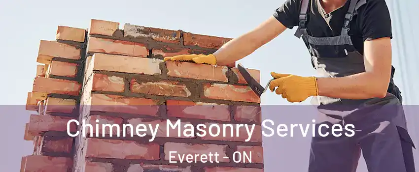  Chimney Masonry Services Everett - ON