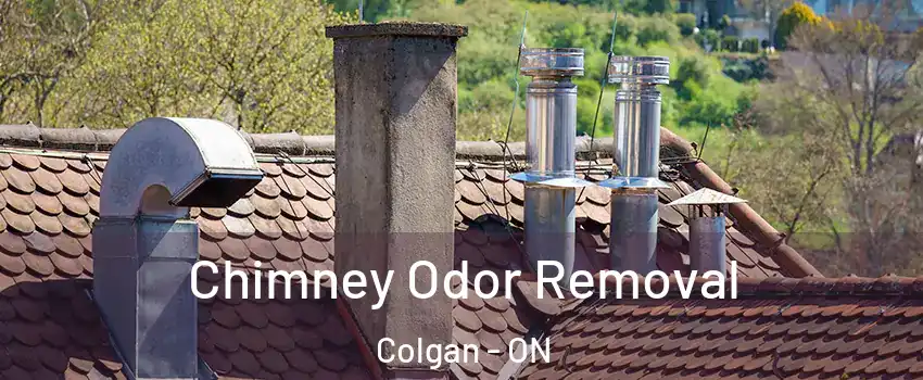  Chimney Odor Removal Colgan - ON