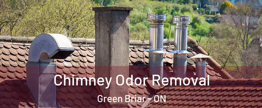  Chimney Odor Removal Green Briar - ON