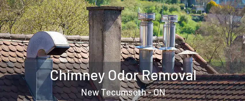  Chimney Odor Removal New Tecumseth - ON