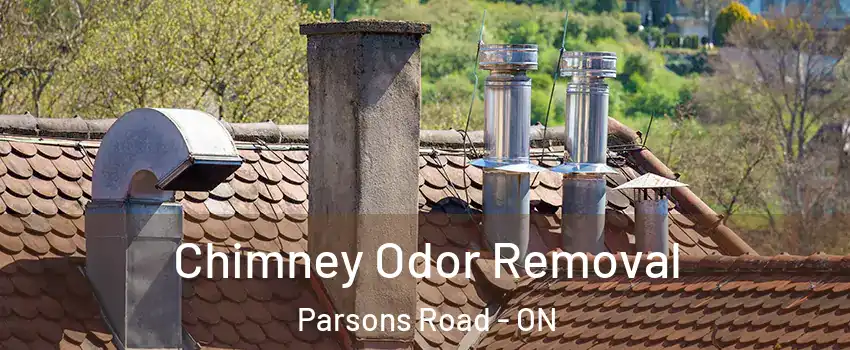  Chimney Odor Removal Parsons Road - ON