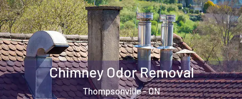  Chimney Odor Removal Thompsonville - ON