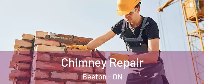  Chimney Repair Beeton - ON