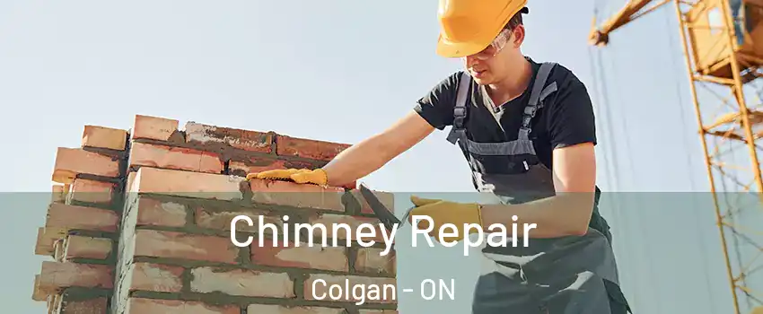  Chimney Repair Colgan - ON