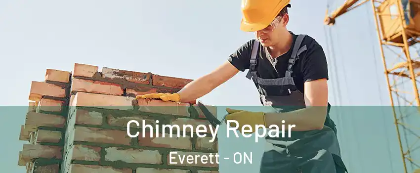  Chimney Repair Everett - ON