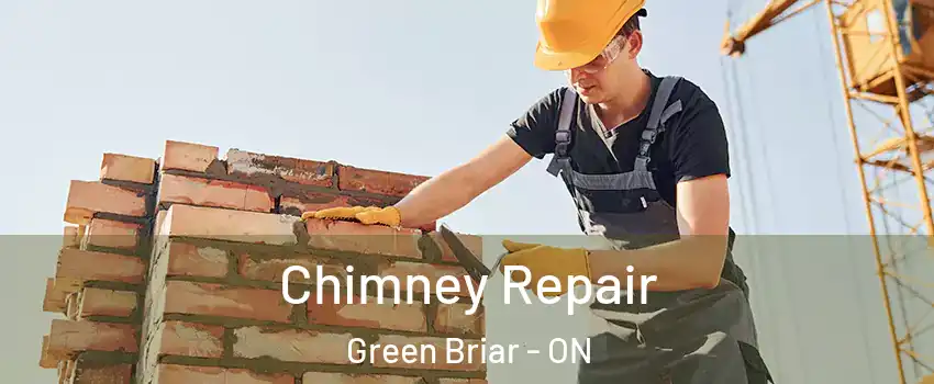  Chimney Repair Green Briar - ON