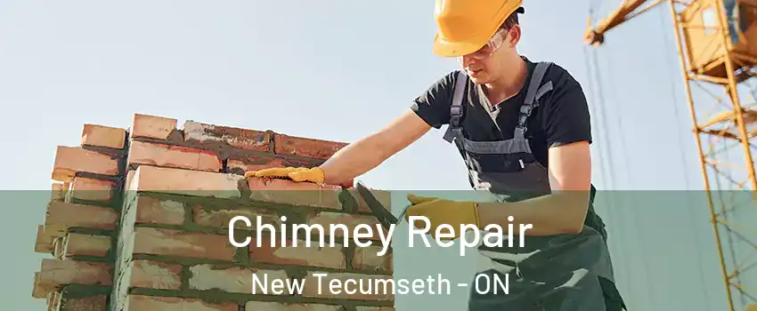  Chimney Repair New Tecumseth - ON