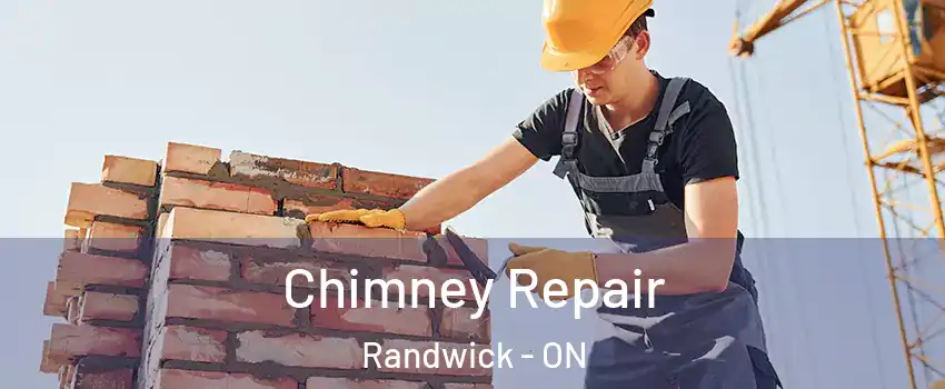  Chimney Repair Randwick - ON