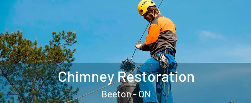  Chimney Restoration Beeton - ON