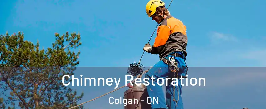  Chimney Restoration Colgan - ON