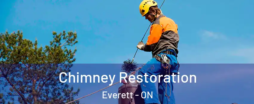  Chimney Restoration Everett - ON