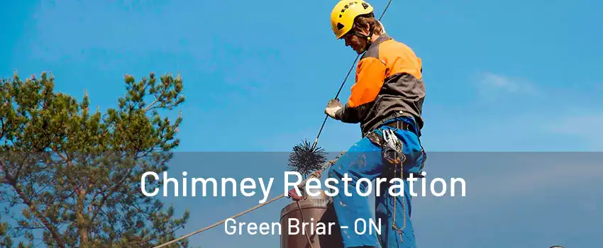  Chimney Restoration Green Briar - ON