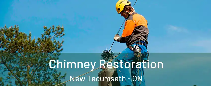 Chimney Restoration New Tecumseth - ON