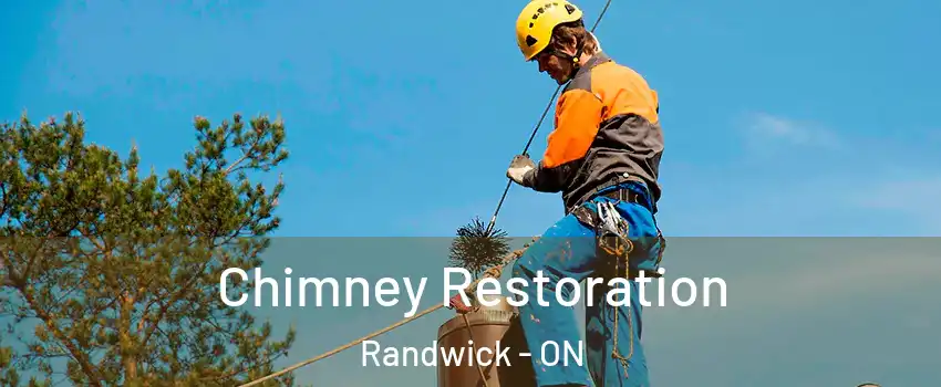  Chimney Restoration Randwick - ON