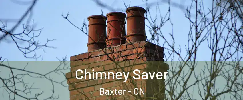  Chimney Saver Baxter - ON