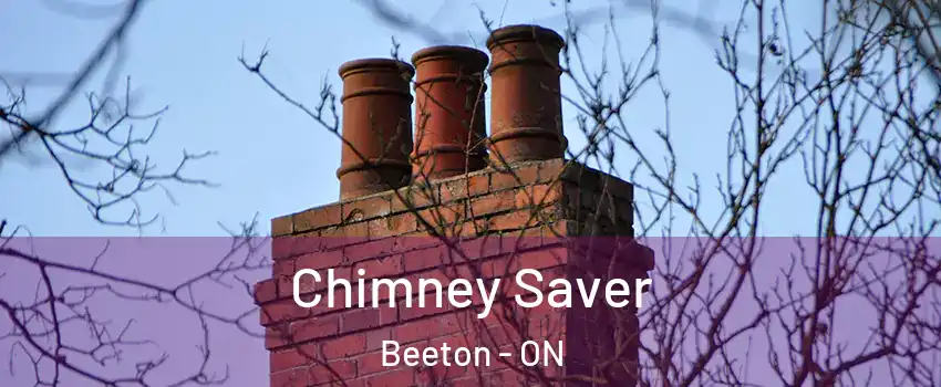  Chimney Saver Beeton - ON